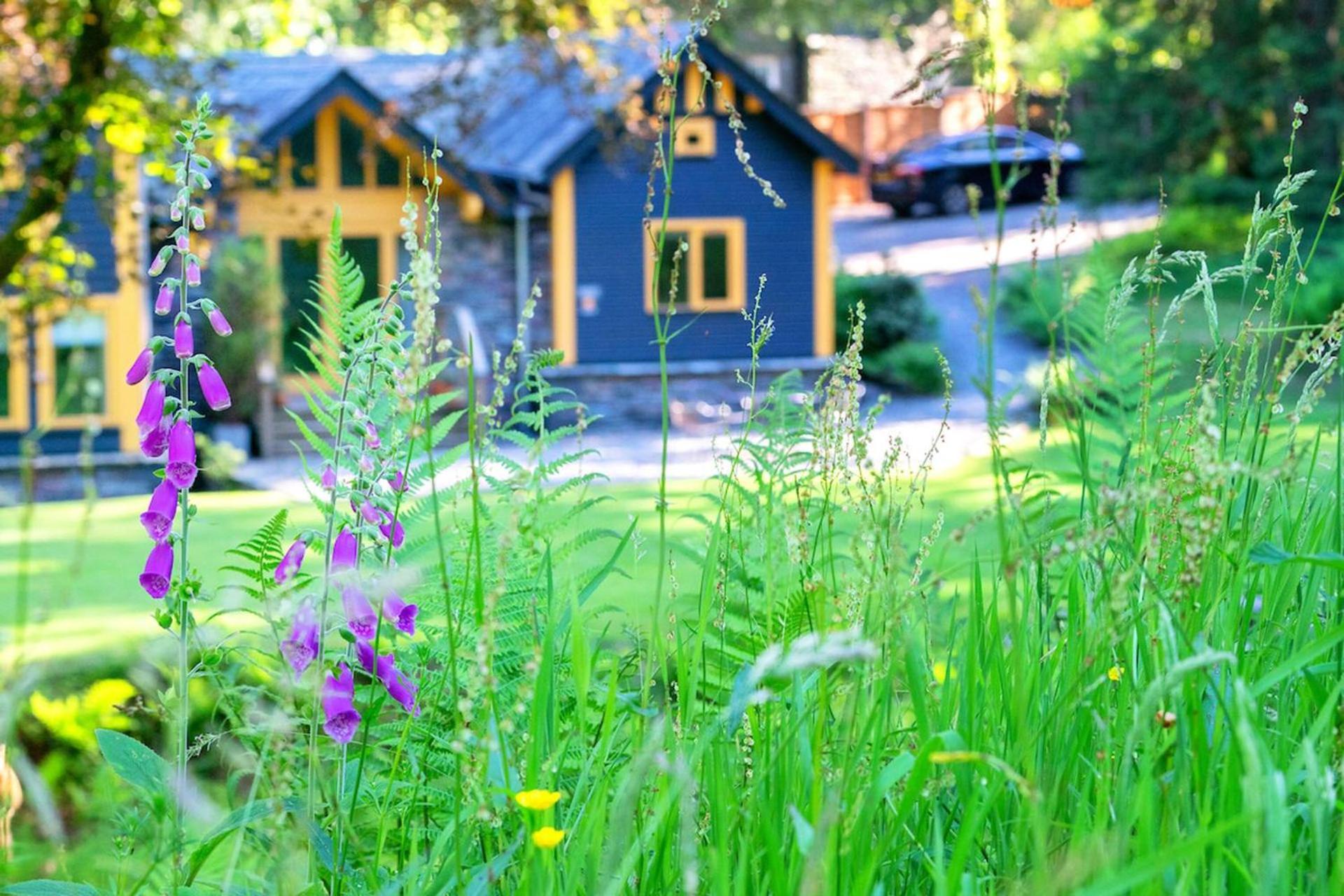 Carr Crag Pavilion Little Langdale エクステリア 写真